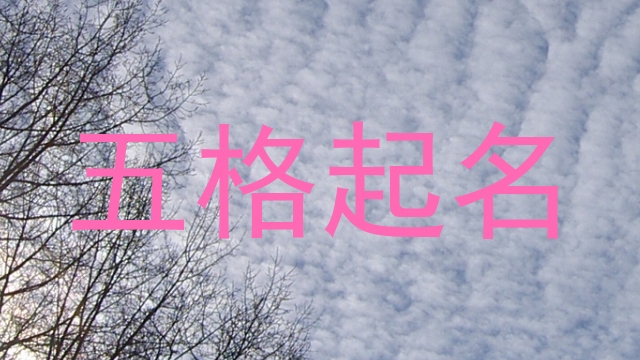 五格起名