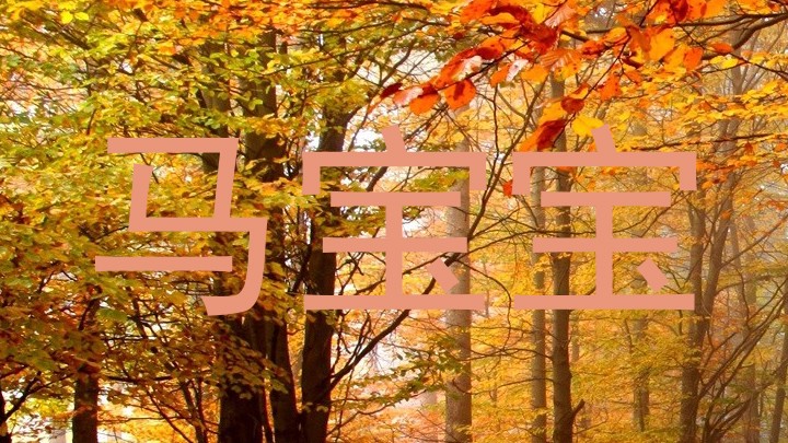 马宝宝