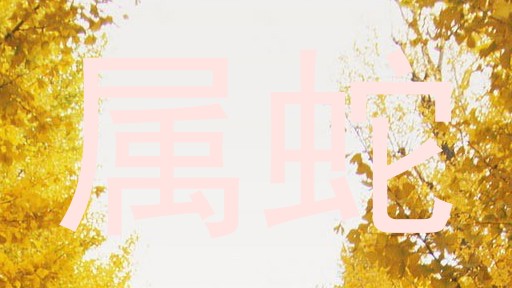 属蛇
