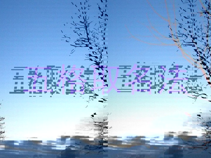 五格取名法