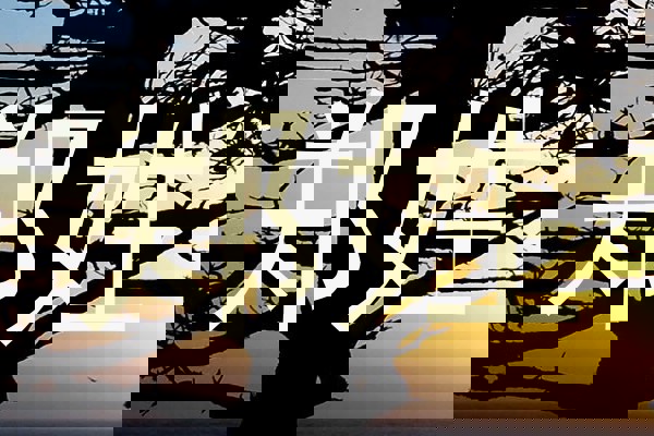 郑姓