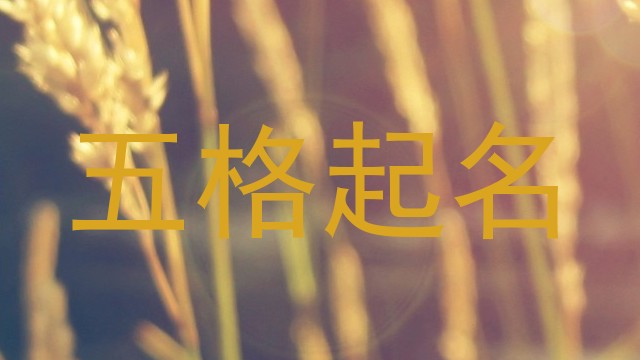 五格起名