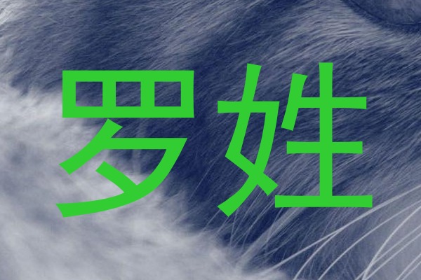 罗姓