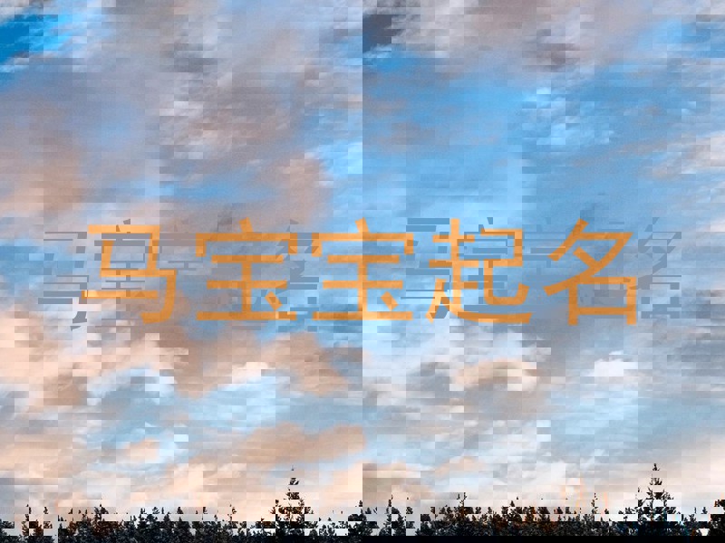马宝宝起名