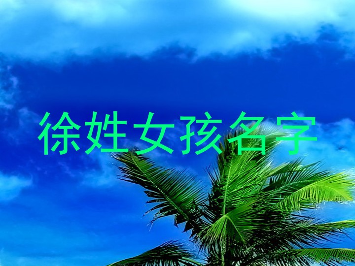 徐姓女孩名字