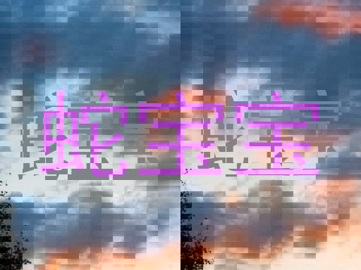 蛇宝宝