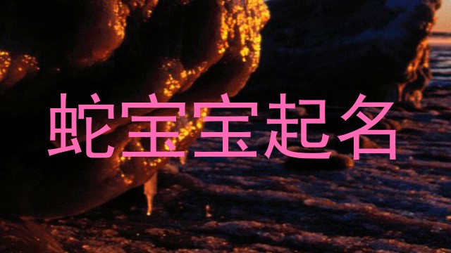 蛇宝宝起名
