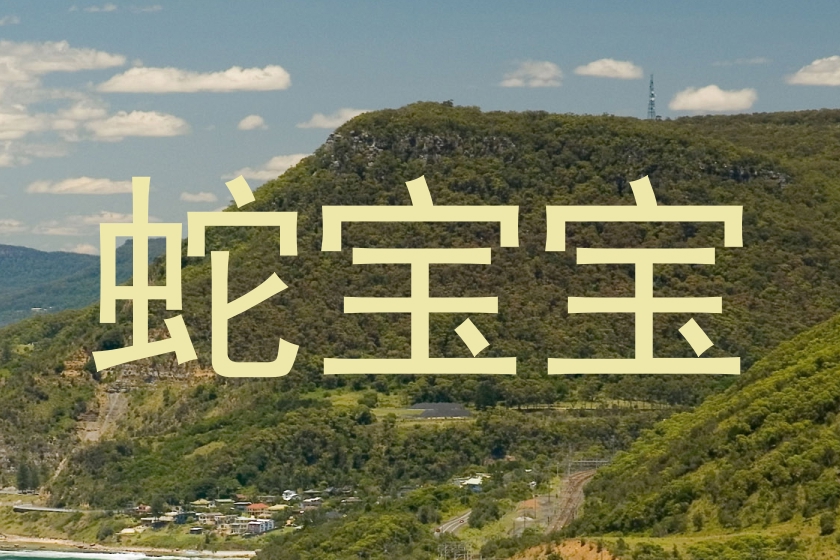 蛇宝宝