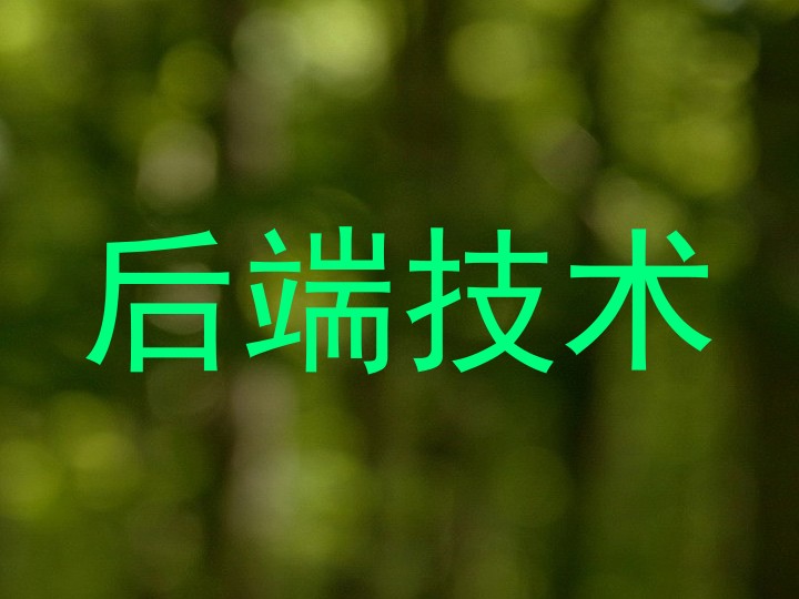 后端技术