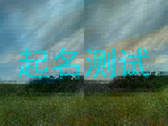 起名测试