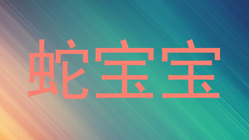 蛇宝宝