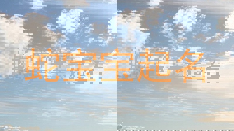 蛇宝宝起名
