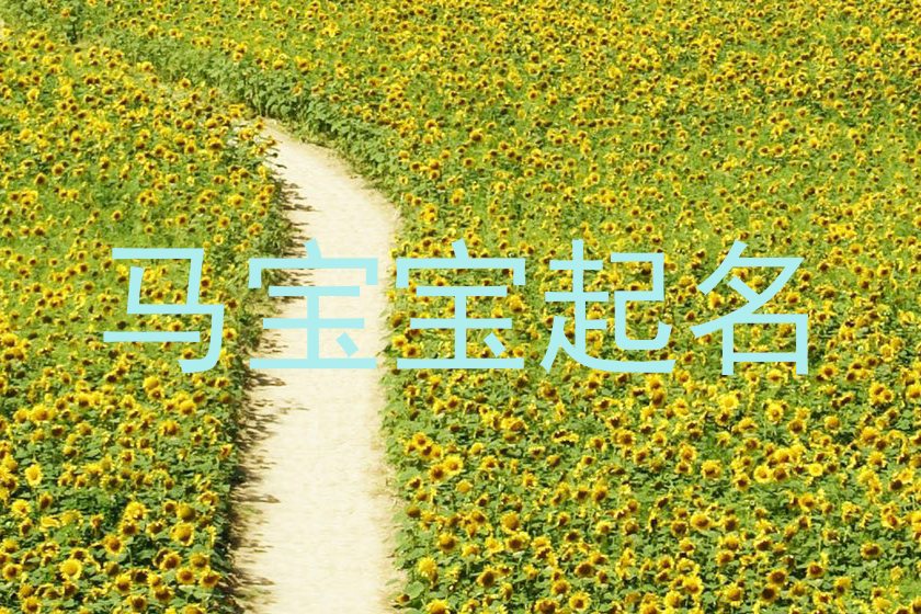马宝宝起名