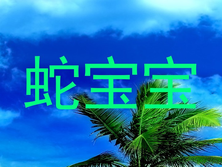 蛇宝宝