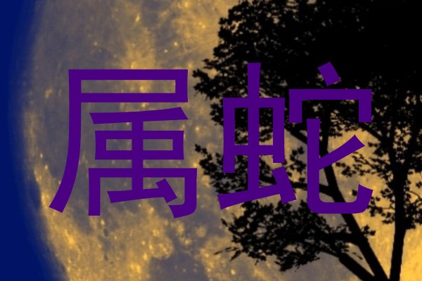 属蛇
