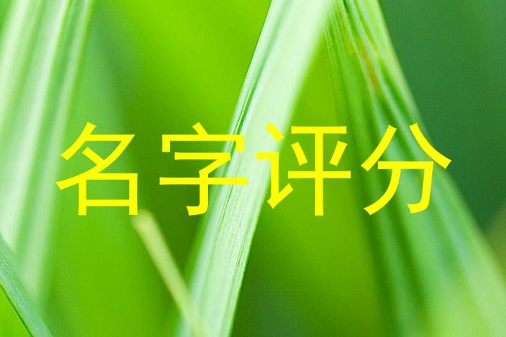 名字评分