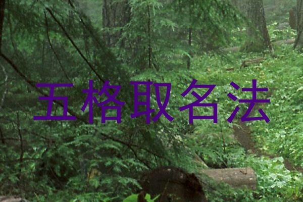 五格取名法