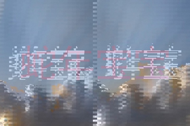 蛇年宝宝
