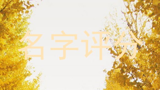 名字评分