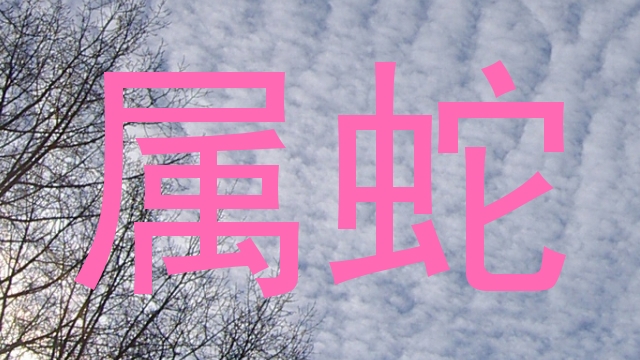 属蛇