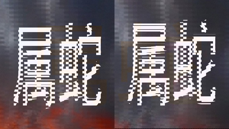 属蛇