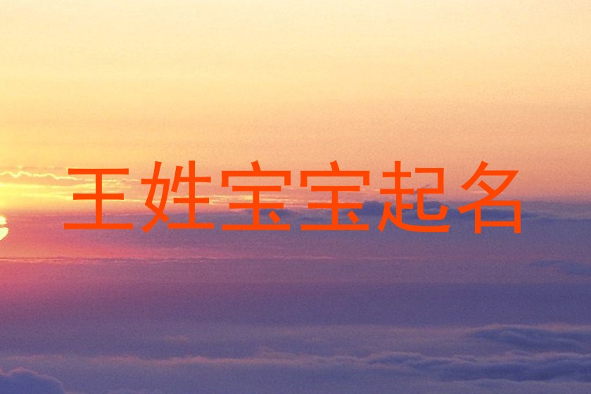 王姓宝宝起名