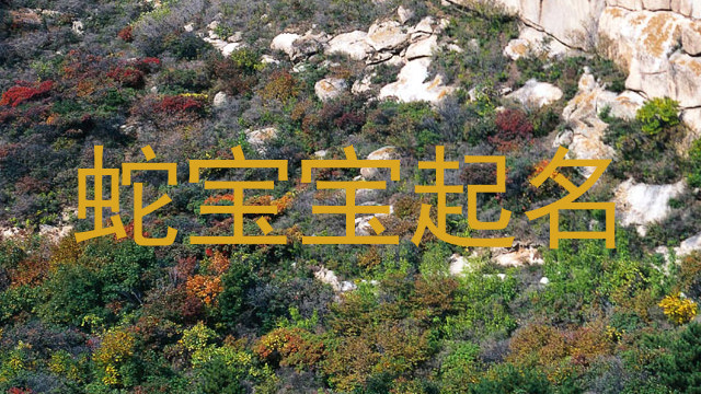 蛇宝宝起名
