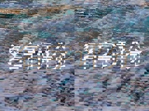 名字评分