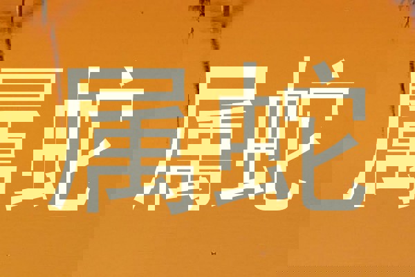 属蛇