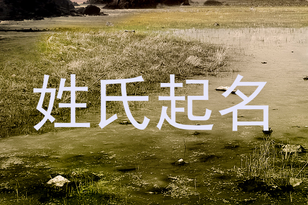 姓氏起名