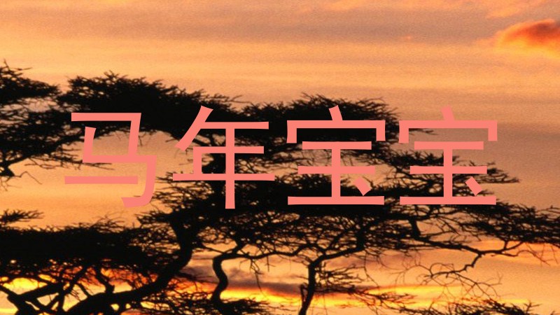 马年宝宝