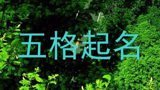 五格起名