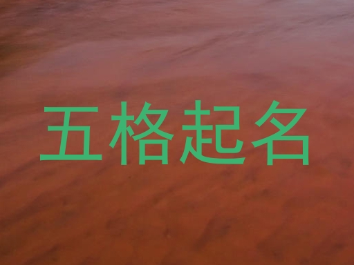 五格起名