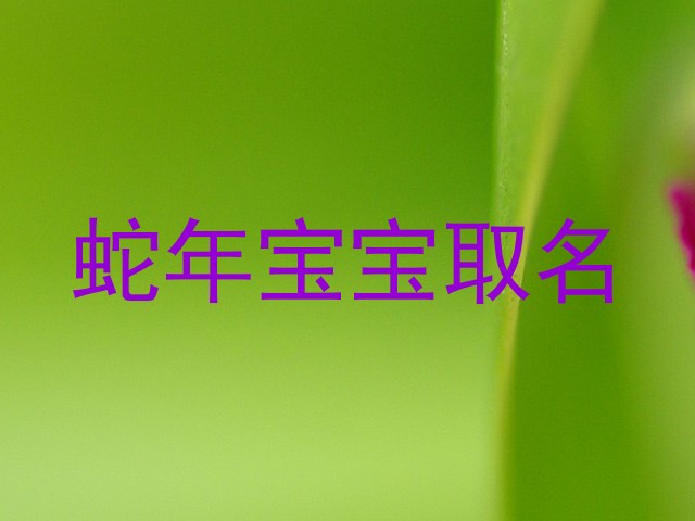 蛇年宝宝取名