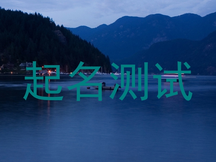 起名测试