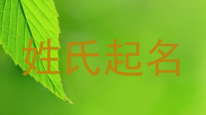 姓氏起名
