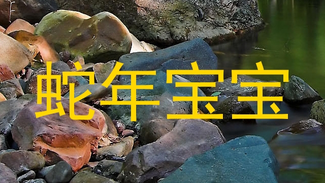 蛇年宝宝