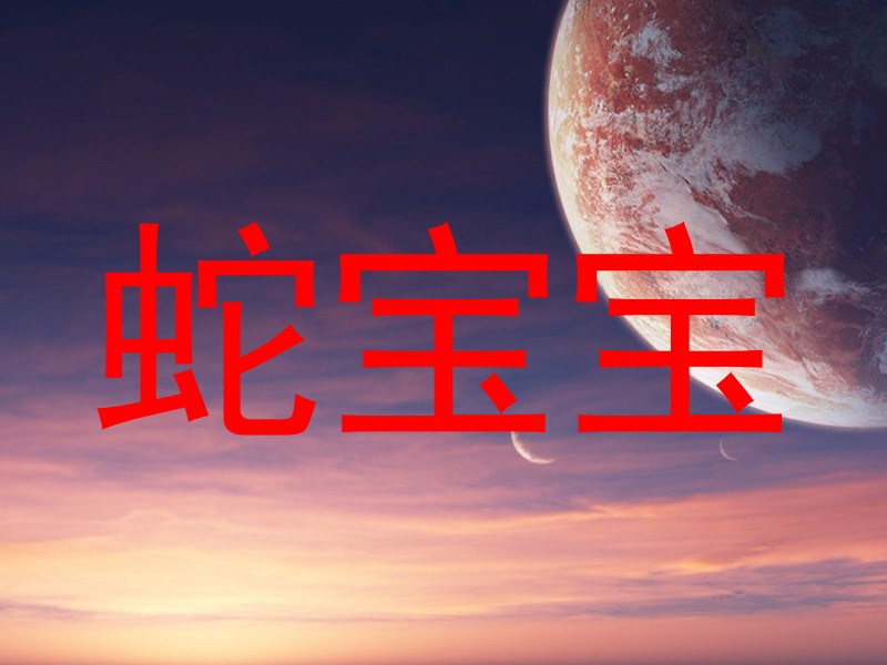 蛇宝宝