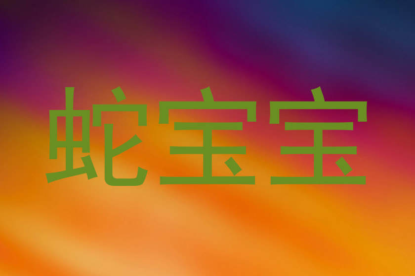 蛇宝宝