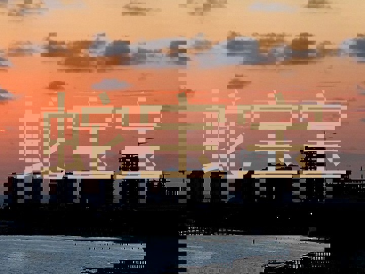 蛇宝宝