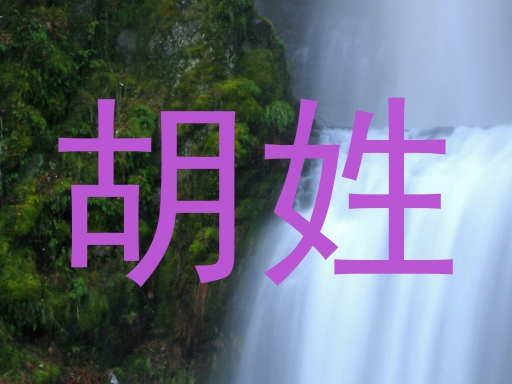 胡姓