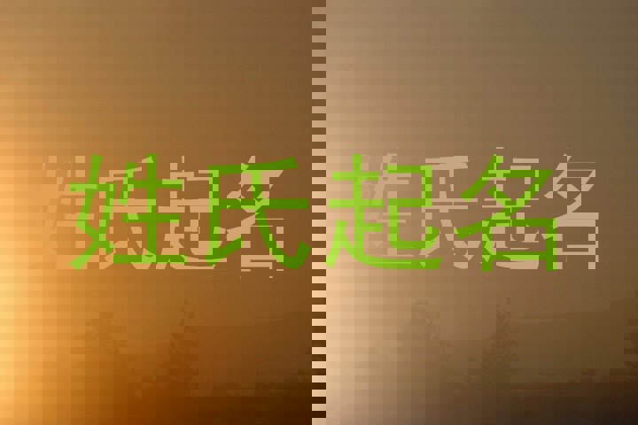 罗姓