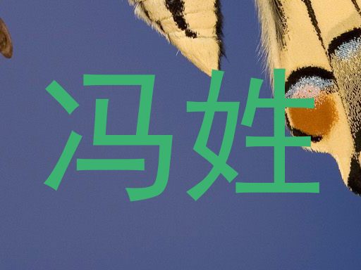 冯姓