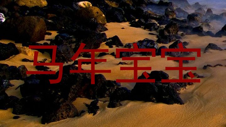 马年宝宝