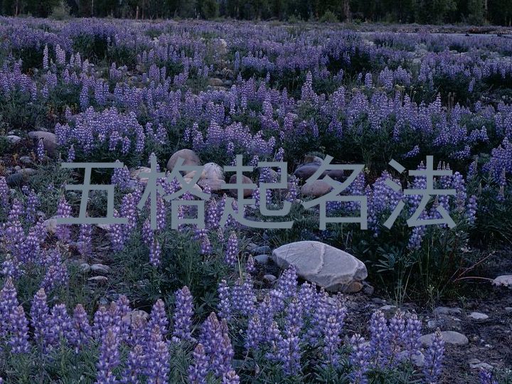 五格起名法