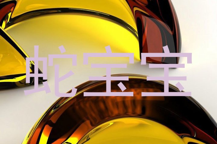 蛇宝宝