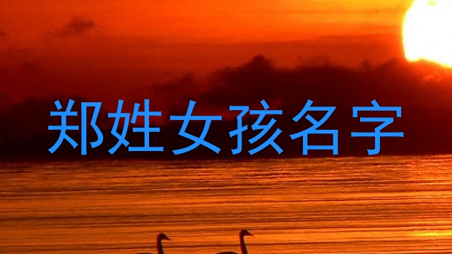 郑姓女孩名字