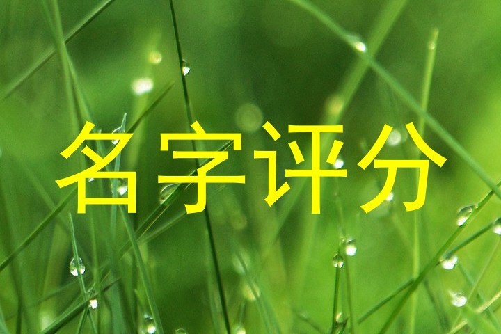 名字评分