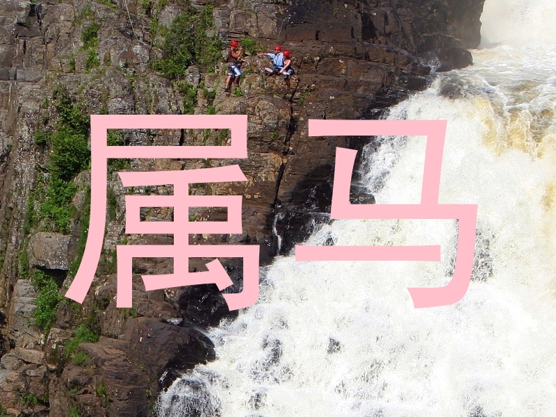 属马