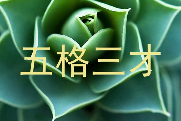 五格三才